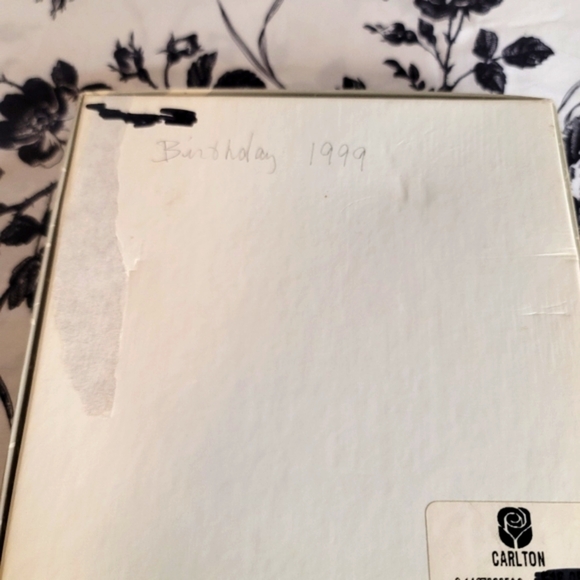 Really cute grey cat address - Picture 4 of 4